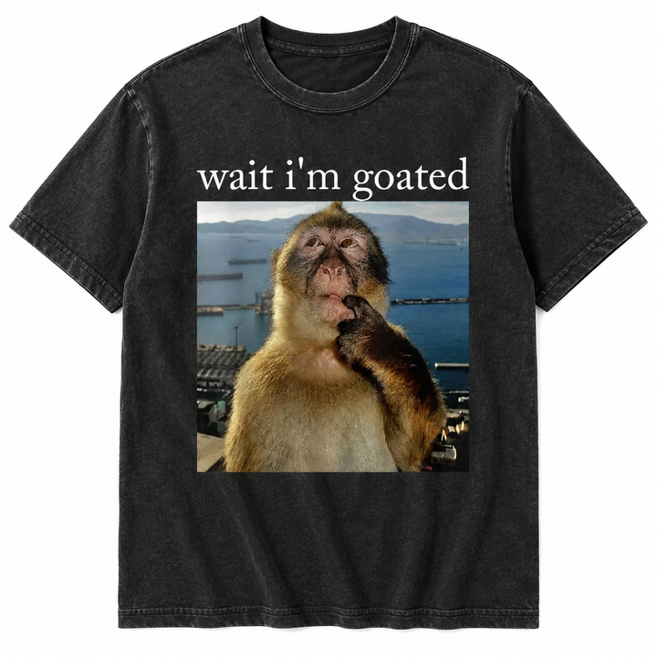 Wait I’m Goated Graphic T-Shirt, Sweatshirt & Hoodie – Funny Thinking Monkey Meme Print, Viral Brainrot Humor Apparel