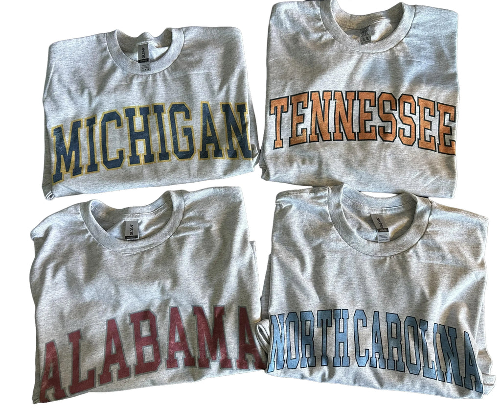 Custom Team Varsity T-Shirt, Sweatshirt & Hoodie – Personalized College Style Graphic, State & Team Name Shirt