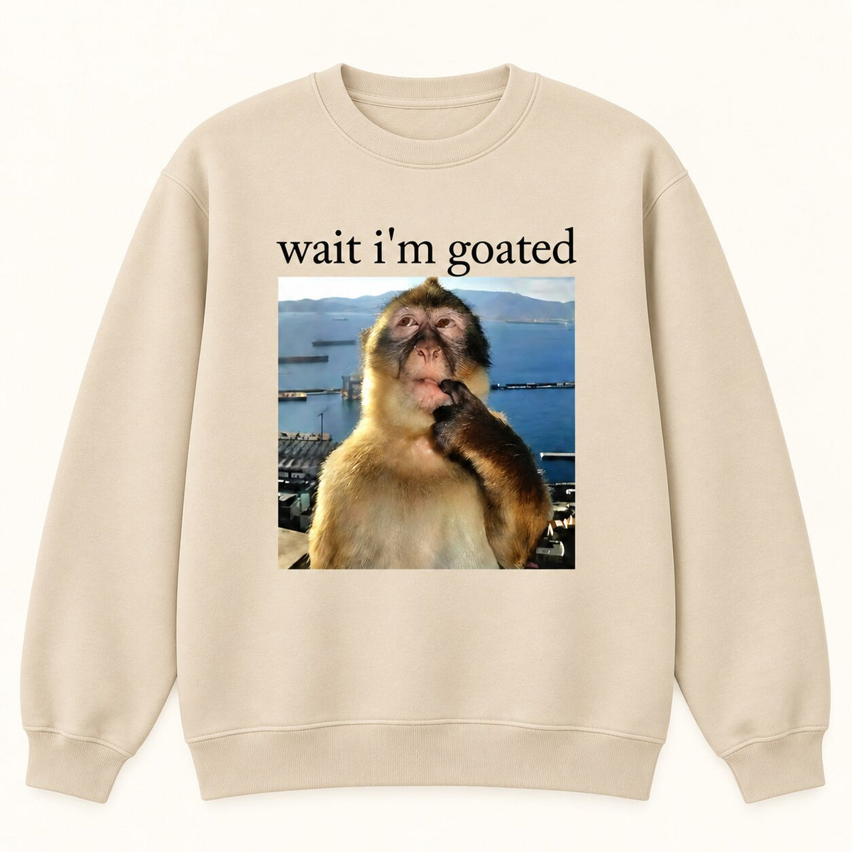 Wait I’m Goated Funny Monkey Meme T-Shirt, Sweatshirt & Hoodie – Brainrot Humor Graphic, Viral Internet Meme