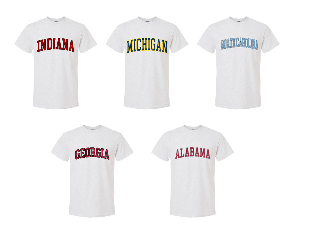 Custom Team Varsity T-Shirt, Sweatshirt & Hoodie – Personalized College Style Graphic, State & Team Name Shirt