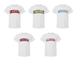 Custom Team Varsity T-Shirt, Sweatshirt & Hoodie – Personalized College Style Graphic, State & Team Name Shirt