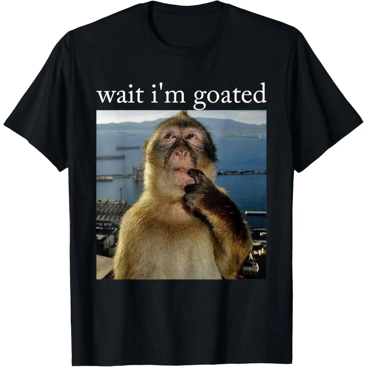 Wait I’m Goated Graphic T-Shirt, Sweatshirt & Hoodie – Funny Thinking Monkey Meme Print, Viral Brainrot Humor Apparel