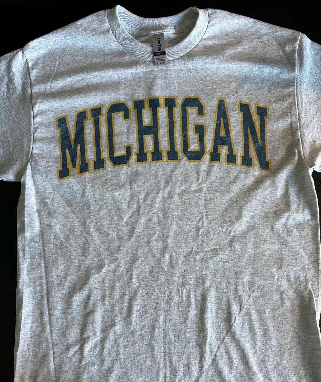 Custom Team Varsity T-Shirt, Sweatshirt & Hoodie – Personalized College Style Graphic, State & Team Name Shirt