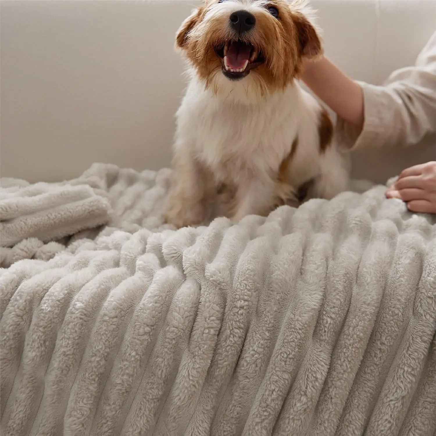 Bedsure Corduroy Fleece Blanket – Ultra Soft Cozy Throw Blanket for Sofa, Bed & Home Decor